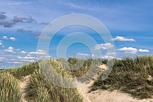 Summer at the beach with sand dunes and marram