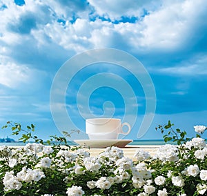 summer beach sea resort cup of coffee morning blue sky white clouds white roses plant flowers copy space