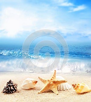 Summer beach. Seashell and starfish on a sand and ocean as background