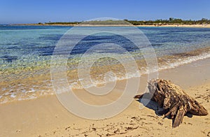 Summer beach.Torre Guaceto Nature Reserve: panoramic view of the coast from the dunes.Italy Apulia. photo