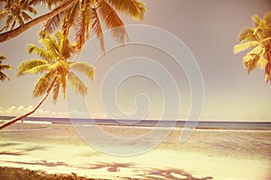 Summer Beach Tropical Peaceful Sunset Concept