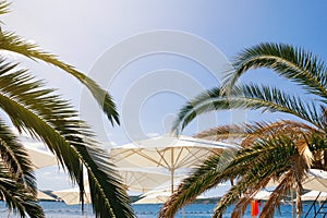 Summer beach vacation, concept. White beach umbrellas and green leaves of palm tree against blue sky on sunny day