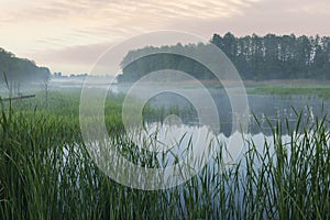 summer beautiful foggy sunrise on the river.