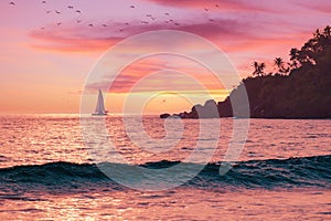 Summer beautiful seascape - pink sky at sunset, warm sea, sailboat on horizon, palm tree silhouette.