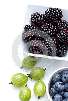 Summer Berries - Blackberries, gooseberries and blueberries in sunlight