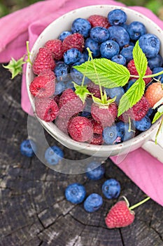 Summer berries blueberries and raspberries water droplets visible at 100%