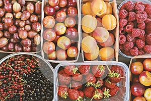 Summer berries and fruits background