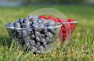 Summer berries in a glass bowl