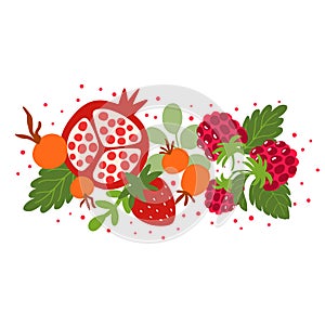 Summer berries raspberry, rosehip, strawberry, pomegranate, leaves. Cute hand drawn cartoon vector element isolated on
