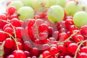 summer berries. vitamins. gooseberry and cranberry