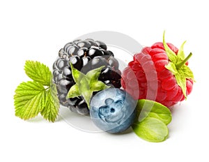 Summer berry fruits isolated