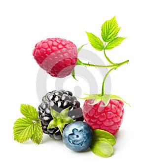 Summer berry fruits isolated