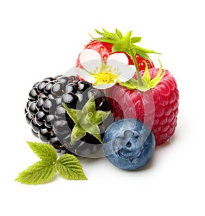 Summer Berry Fruits Isolated