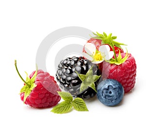 Summer Berry Fruits Isolated