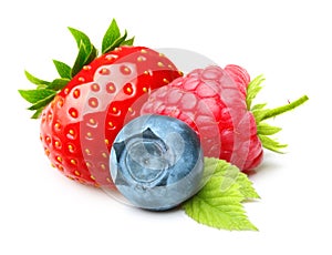 Summer Berry Fruits Isolated