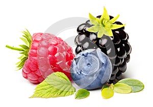 Summer Berry Fruits Isolated