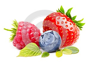 Summer Berry Fruits Isolated