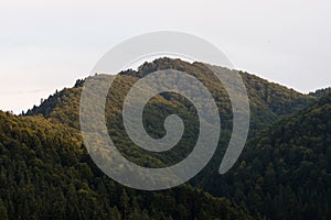 Summer in Beskid region of Carpathians Mountains