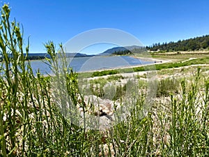 Summer at Big Bear Lake California