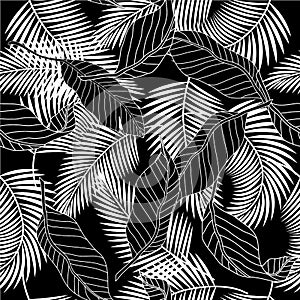 Summer black and white tropical palm tree leaves seamless patter