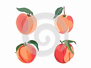 Summer Bliss - Illustration of a Peach