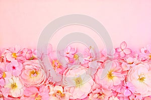 Summer blossoming delicate roses or pink spring blooming flowers festive background