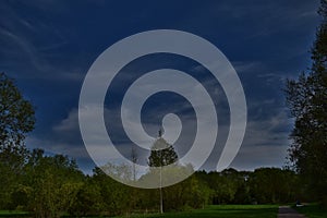 Summer. Blue sky. Clouds. Green tree.