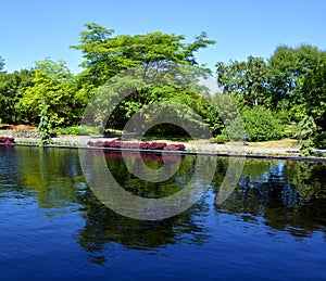 Summer in botanical garden