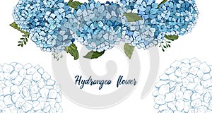Summer botanical vector design banner. hand drawing . Light blue hydrangea. Natural card or frame. Floral borders. All elements