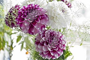 Summer Bouquet - Dahlias