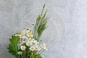 Summer bouquet of fresh field chamomiles and greenery
