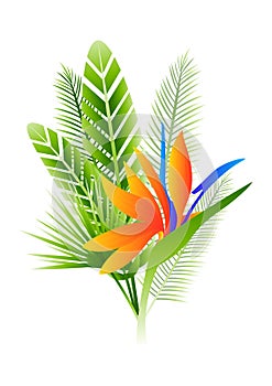 Summer bouquete with strelitzia and leaves photo