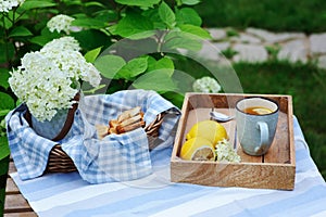 Summer breakfast in beautiful blooming garden with tea, lemon and cookies