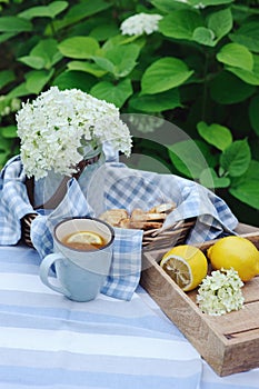 Summer breakfast in beautiful blooming garden. Tea with lemon, hydrangea flowers on wooden table with green background