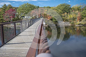 A summer on a bridge