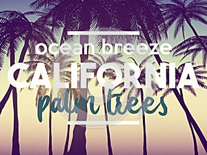 Summer california tumblr backgrounds set with palms, sky and sunset. Summer placard poster flyer invitation card. photo