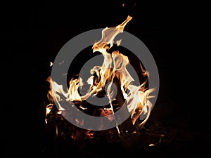 Summer campfire and view of flames and burning wood