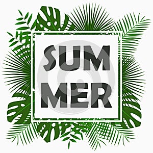 Summer card design with - tropical palm leaves, jungle leaf , exotic plants and border frame. Graphic for poster, banner. Vector.