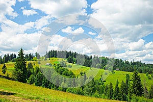 Summer Carpathian Moountains.