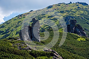 Summer Carpathian mountain landscape