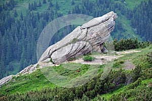 Summer Carpathian mountain landscape