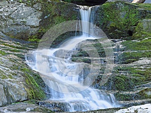 Summer Cascades