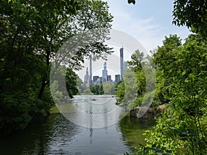 Summer @ Central Park photo