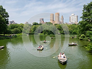 Summer in Central Park