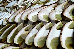 Summer cep mushroom Boletus reticulatus hat sliced in detail