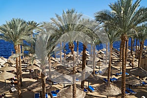 Summer chaise lounges under an umbrella on sandy sea beach and palms in hotel Egypt, Sharm el Sheikh, concept time to