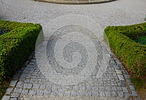 Summer chateau parterre with boxwood hedges honestly trimmed, around which the path leads along the path of beige compacted gravel