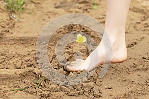 In summer, the child plays on the beach, runs barefoot on the sand. Sea tour. Children`s feet in the sand.