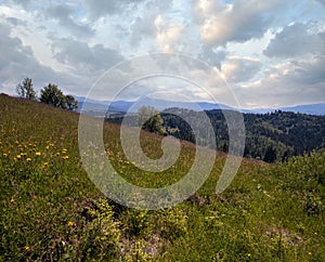 Summer Chornohora massiv mountains scenery view from Sevenei hill (near Yablunytsia pass, Carpathians, Ukraine