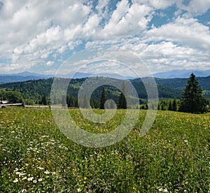 Summer Chornohora massiv mountains scenery view from Sevenei hill (near Yablunytsia pass, Carpathians, Ukraine